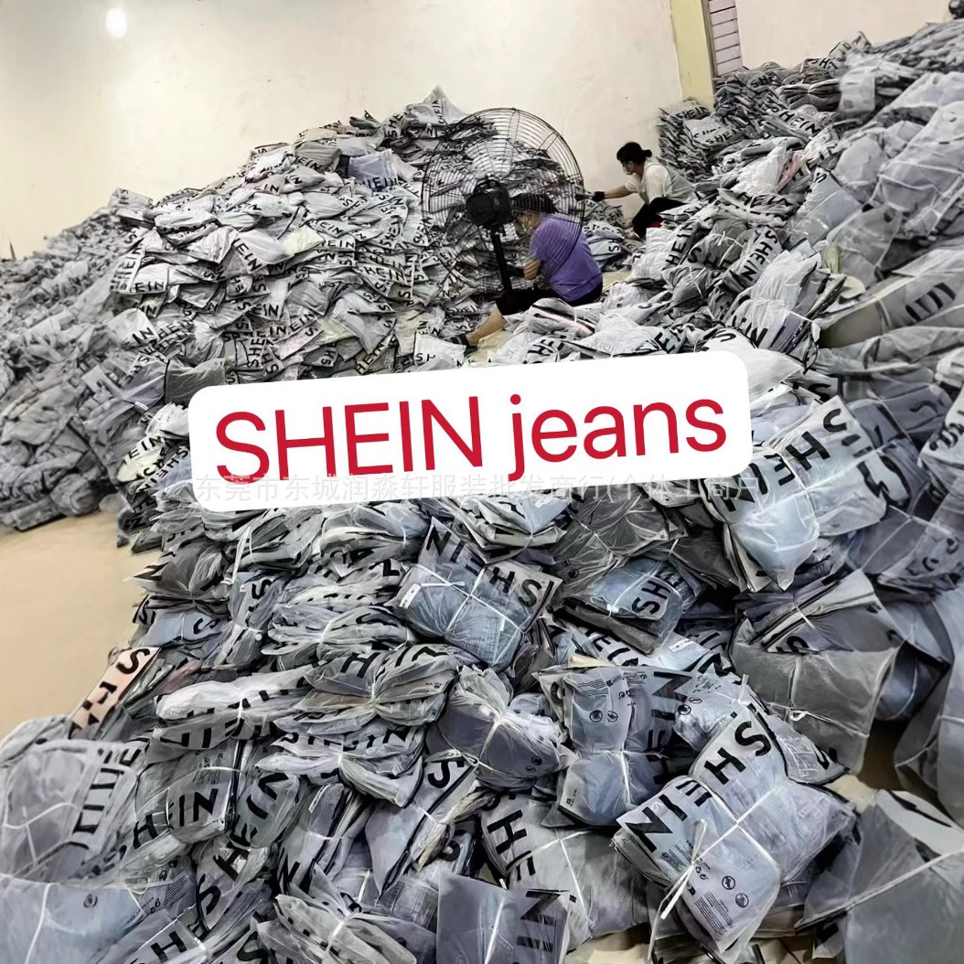 Ropa de Invierno Femenina con Sudaderas y Chaquetas de Algodón SHEIN imagen 1