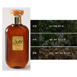 Perfume de mujer arabe de Dubai de Oriente Medio - Fragancia Yara - 7302A imagen 1